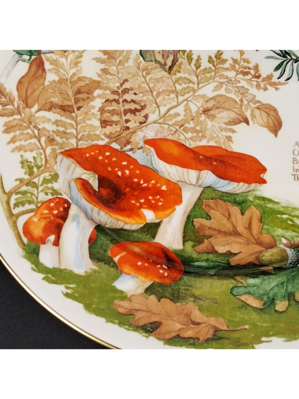 Caverswall Calendar Plates the Country Diary of An Edwardian Lady - Mushroom & - Picture 9 of 11